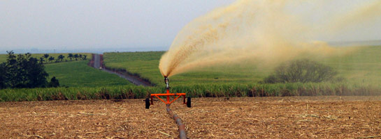 PAV – Plano de Aplicação de Vinhaça
